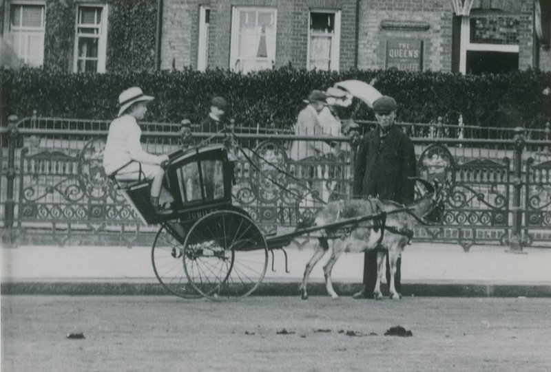 Gedetrukket transport af English Photographer