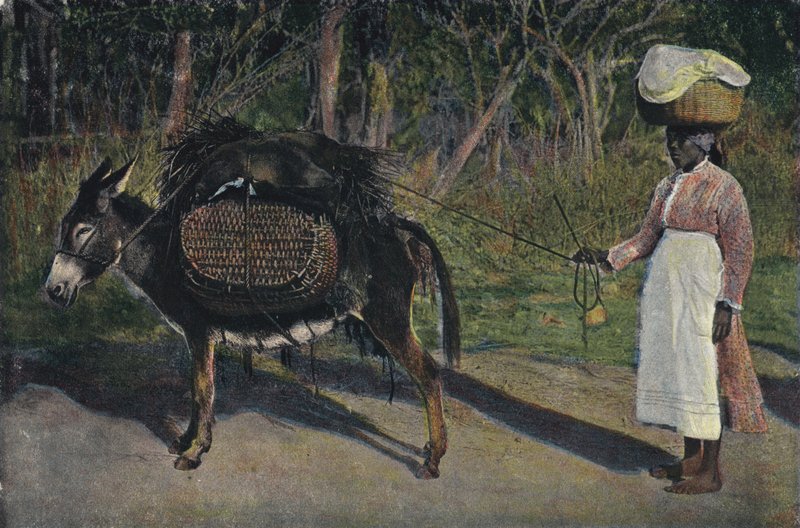 Going to Market, Jamaica (farvet foto) af English Photographer