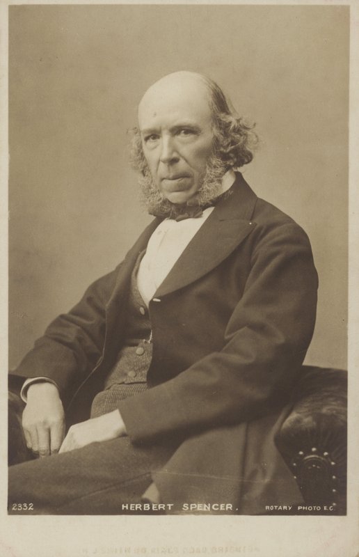 Herbert Spencer (1820-1903), engelsk filosof, politisk teoretiker, biolog og sociolog af English Photographer