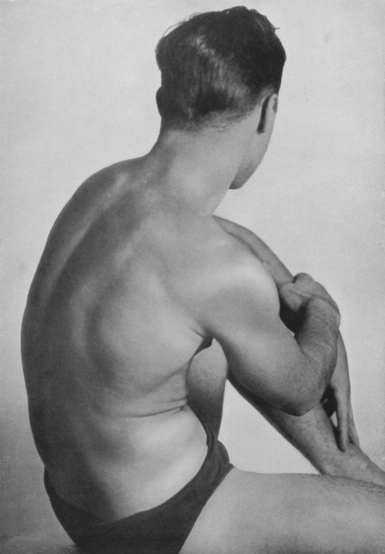 Illustration til The Male Body (s/h foto) af English Photographer