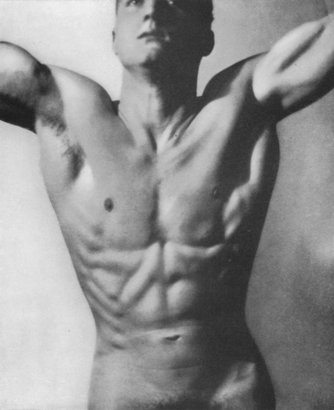 Illustration til The Male Body (s/h foto) af English Photographer