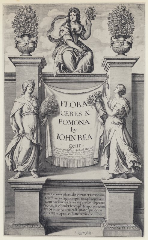 J Rea, Flora, Ceres og Pomona, R Marriott 1665 (s/h-billede) af English Photographer
