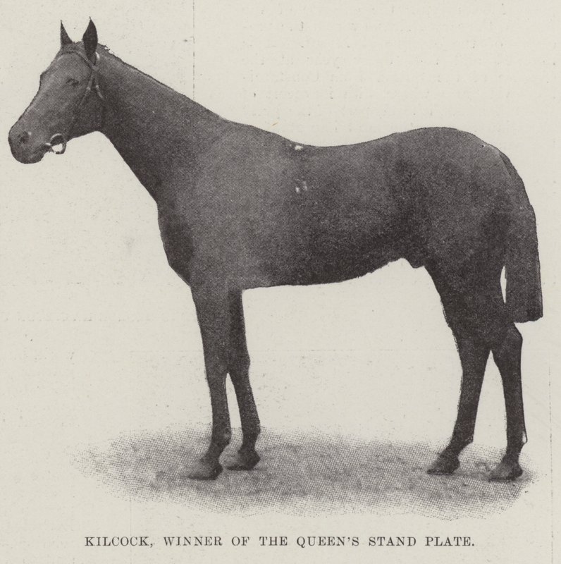 Kilcock, vinder af Queens Stand Plate af English Photographer