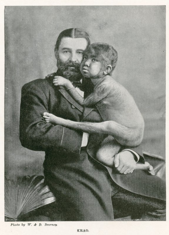 Krao, The Missing Link, udstillet på Aquarium, Westminster, London, i 1887 af English Photographer