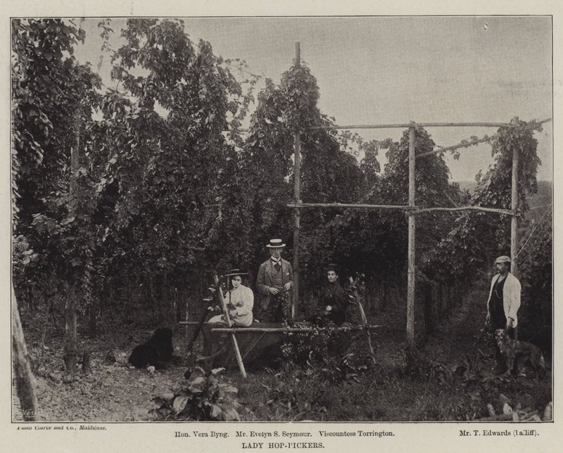 Lady Hop-Pickers af English Photographer