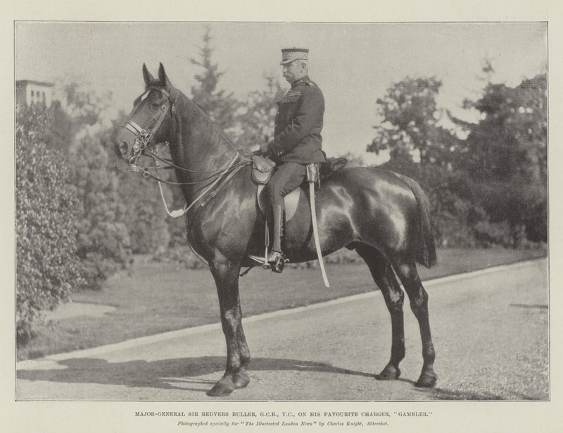 Generalmajor Sir Redvers Buller, GCB, VC, på hans yndlingsoplader, Gambler af English Photographer