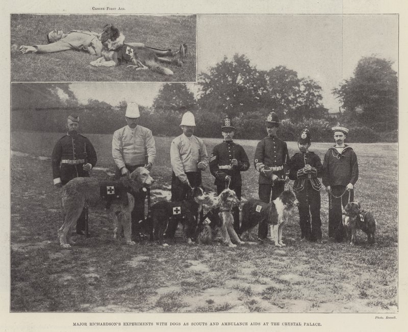 Major Richardsons eksperimenter med hunde som spejdere og ambulancehjælpemidler på Crystal Palace af English Photographer