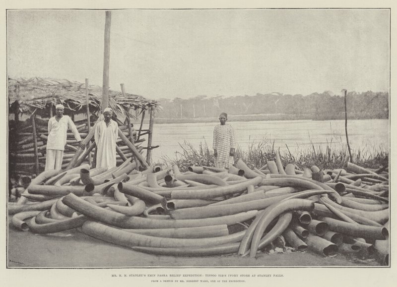 Mr H M Stanleys Emin Pasha Relief Expedition, Tippoo Tibs Ivory Store ved Stanley Falls af English Photographer