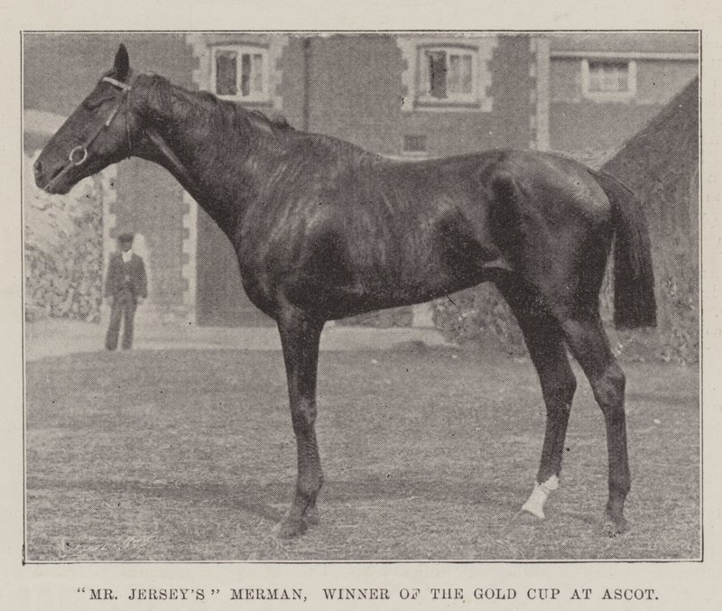 Mr Jerseys Merman, vinder af Gold Cup i Ascot af English Photographer
