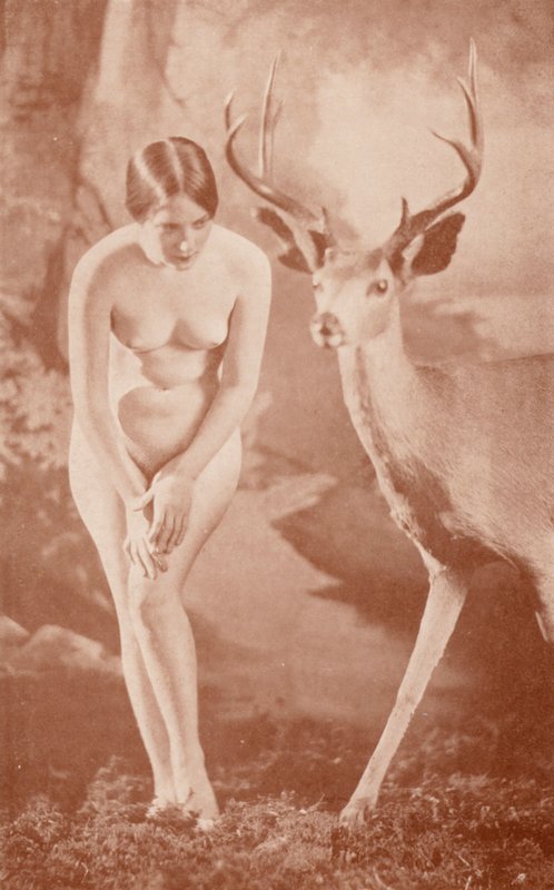 Nudistisk kunst: Skovidyl (s/h-foto) af English Photographer