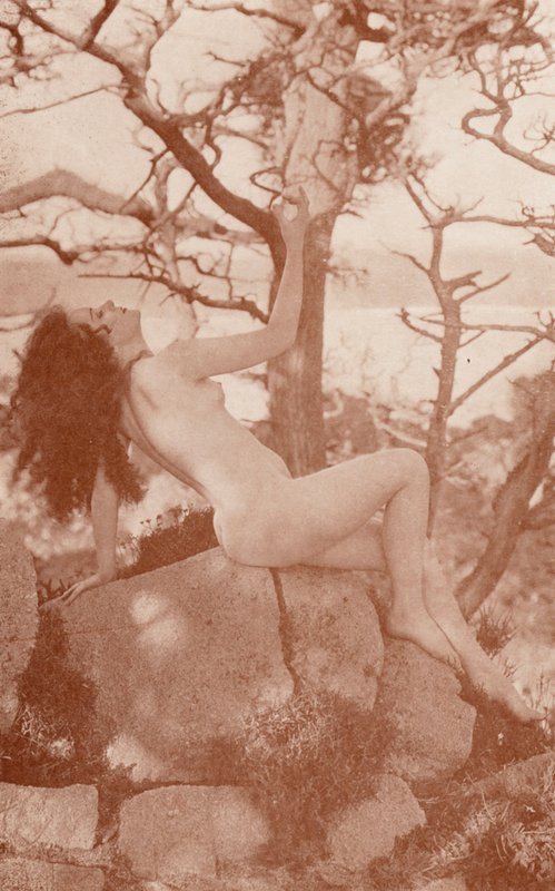 Nudistisk kunst: Tanglewood (s/h-foto) af English Photographer