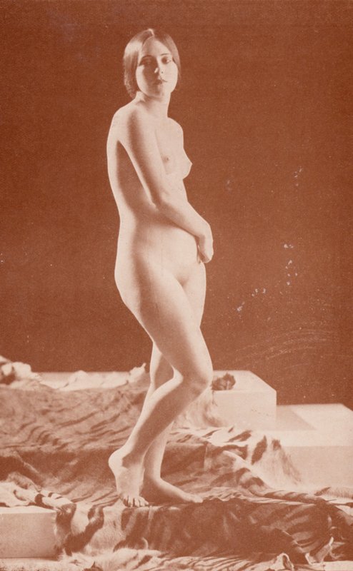 Nudistisk kunst: Tiger Lady (s/h foto) af English Photographer