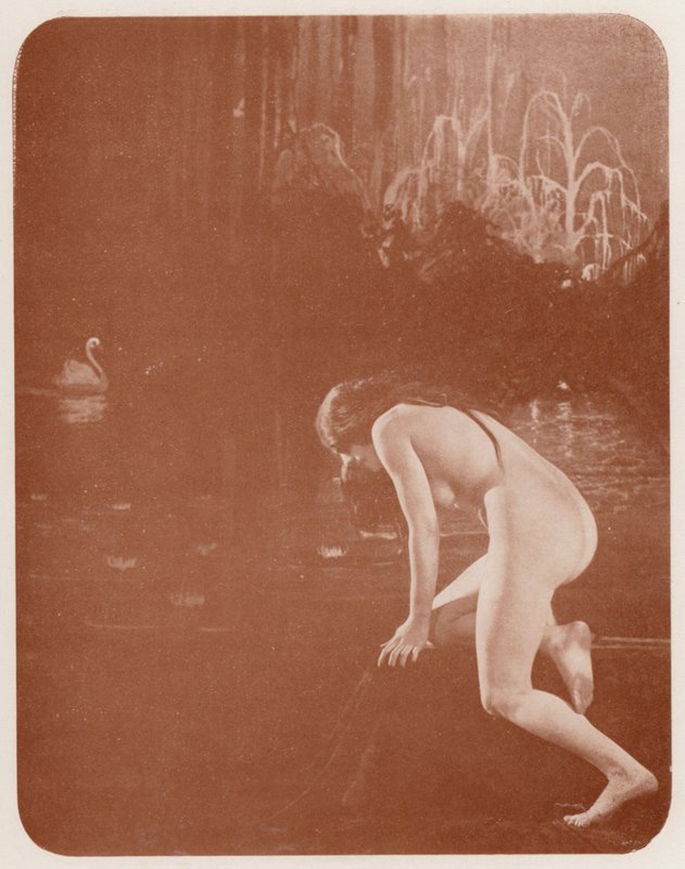 Nudistisk kunst: Vandliljer (s/h-foto) af English Photographer