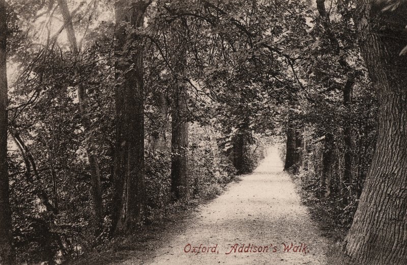 Oxford, Addisons Walk (s/h-billede) af English Photographer