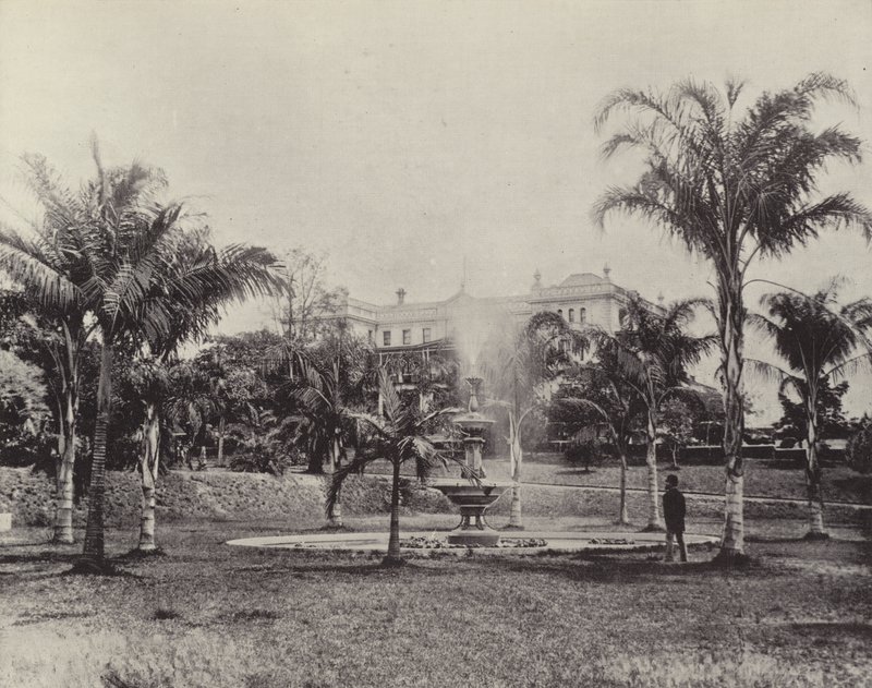 Palmer og springvand, Botanisk Have, Brisbane af English Photographer