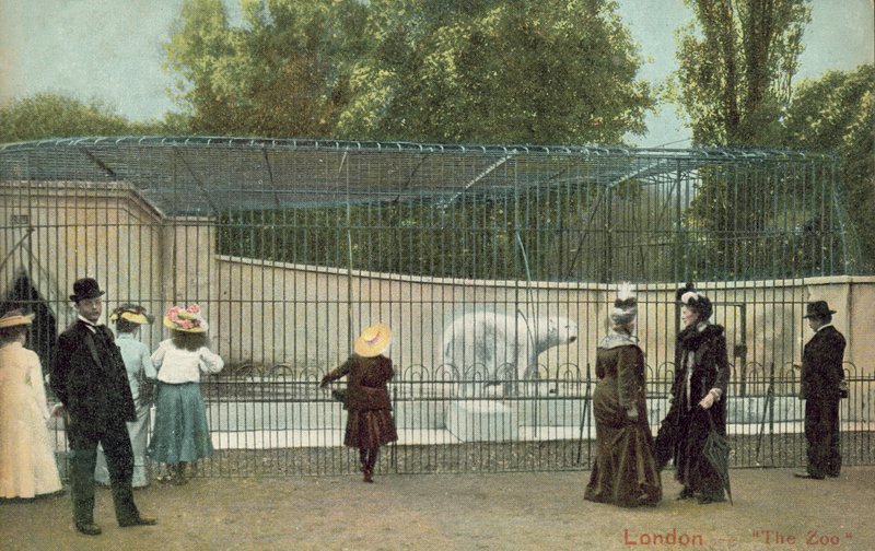 Folk besøger isbjørneanlægget i London Zoo (foto) af English Photographer