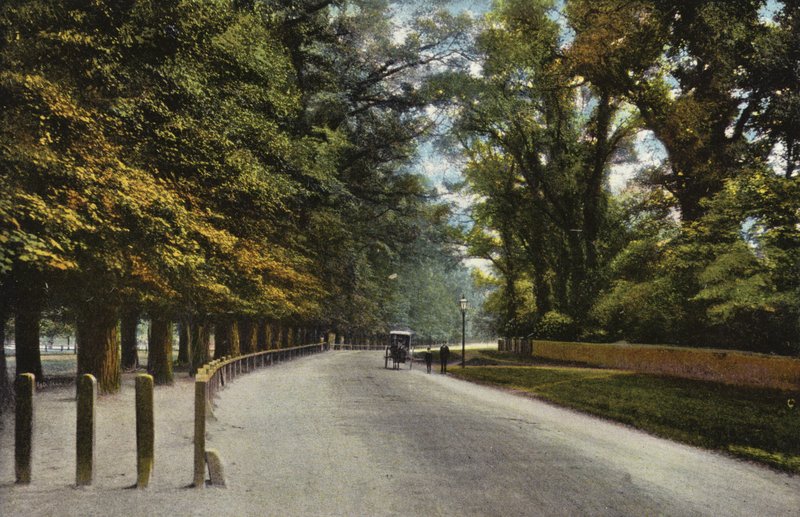 Queens Road, Backs af English Photographer