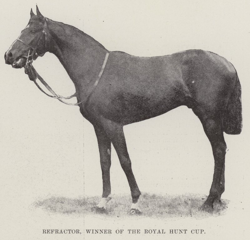 Refractor, vinder af Royal Hunt Cup af English Photographer