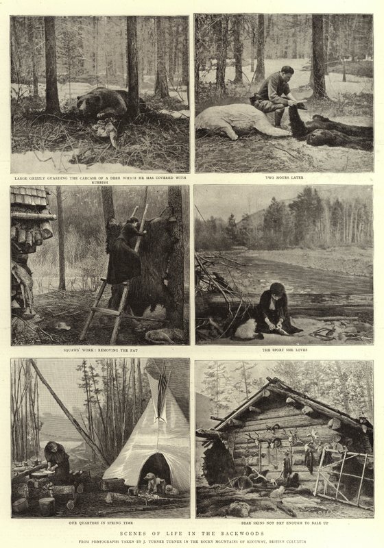 Livets scener i Backwoods af English Photographer