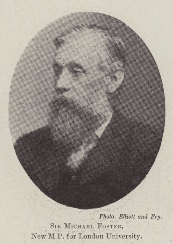 Sir Michael Foster, ny MP for London University af English Photographer