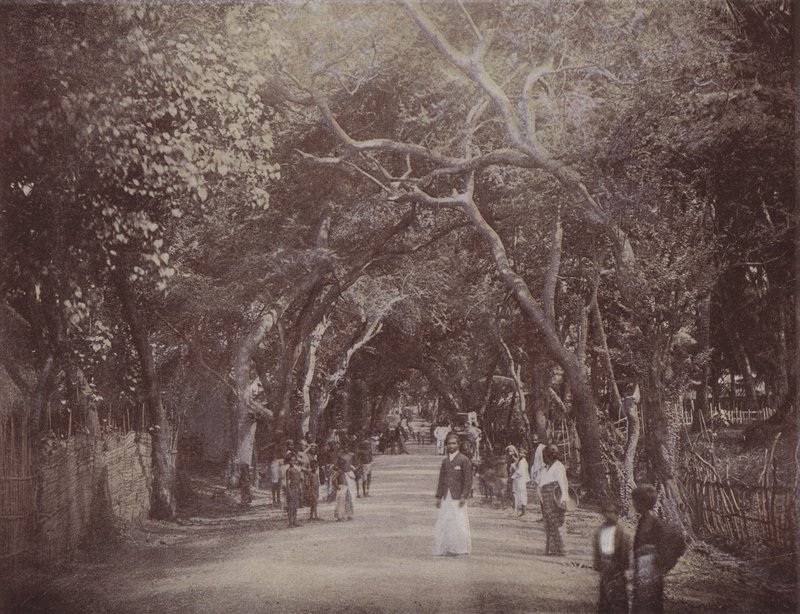 Skinners Road, Colombo (farvet foto) af English Photographer