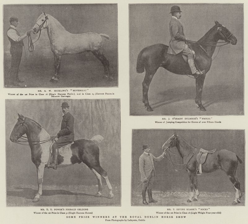 Nogle prisvindere ved Royal Dublin Horse Show af English Photographer