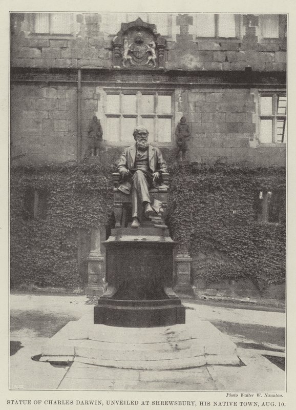 Statue af Charles Darwin, afsløret i Shrewsbury, hans fødeby, 10. august af English Photographer