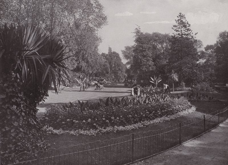 Sub-tropiske haver, Battersea Park af English Photographer