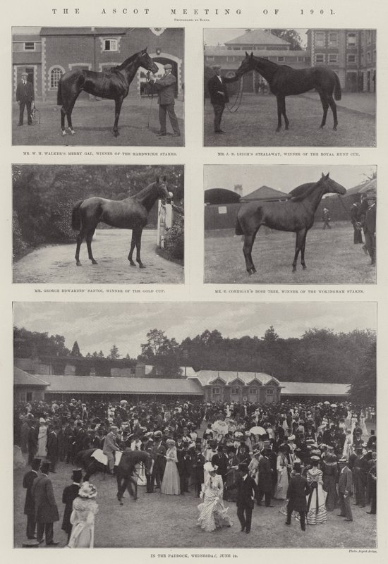 Ascotmødet 1901 af English Photographer