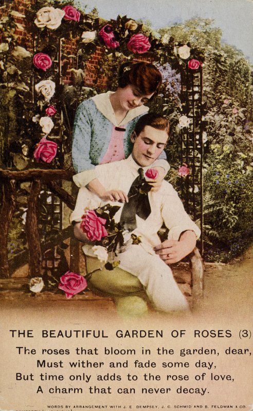 Den smukke rosehave af English Photographer