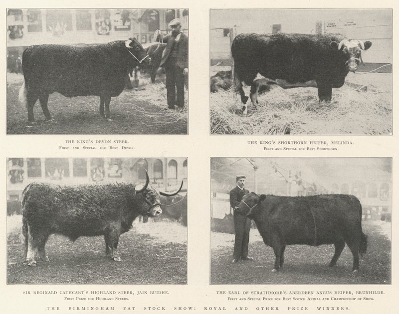 Birmingham Fat Stock Show, Royal og andre prisvindere af English Photographer