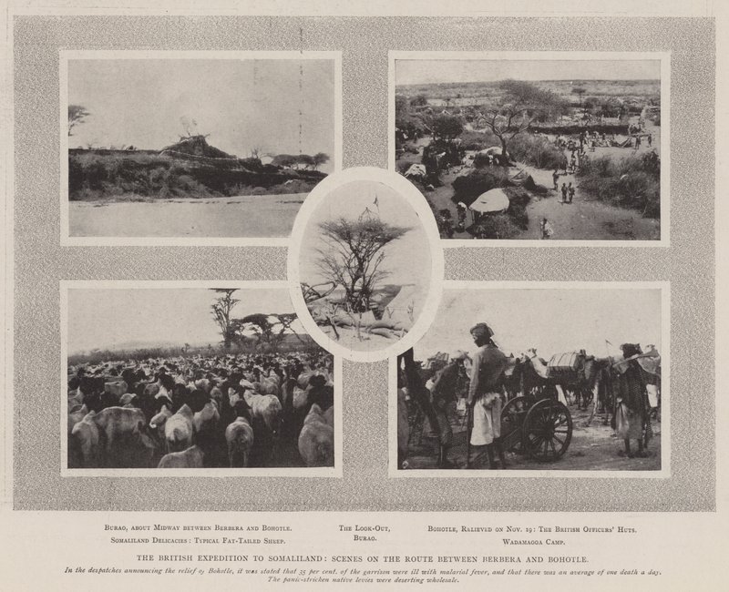 Den britiske ekspedition til Somaliland, scene på ruten mellem Berbera og Bohotle af English Photographer