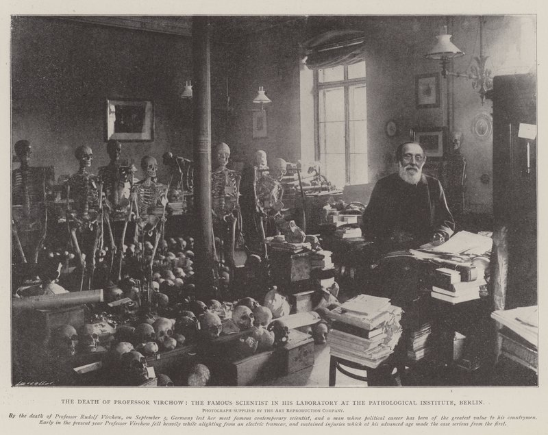 Professor Virchows død, den berømte videnskabsmand i hans laboratorium ved det patologiske institut, Berlin af English Photographer
