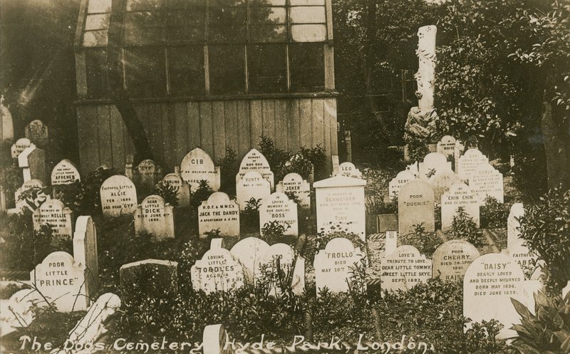The Dogs Cemetery, Hyde Park, London af English Photographer