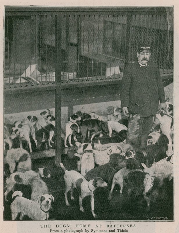 Hundehjemmet ved Battersea af English Photographer