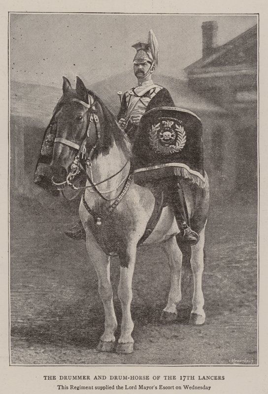 Den 17. Lancers trommeslager og trommehest af English Photographer