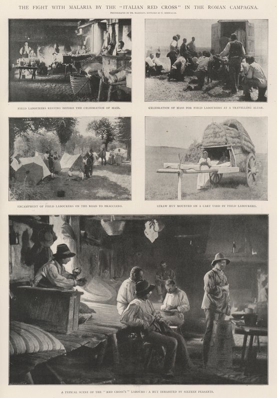 Kampen mod malaria af det italienske Røde Kors i den romerske Campagna af English Photographer