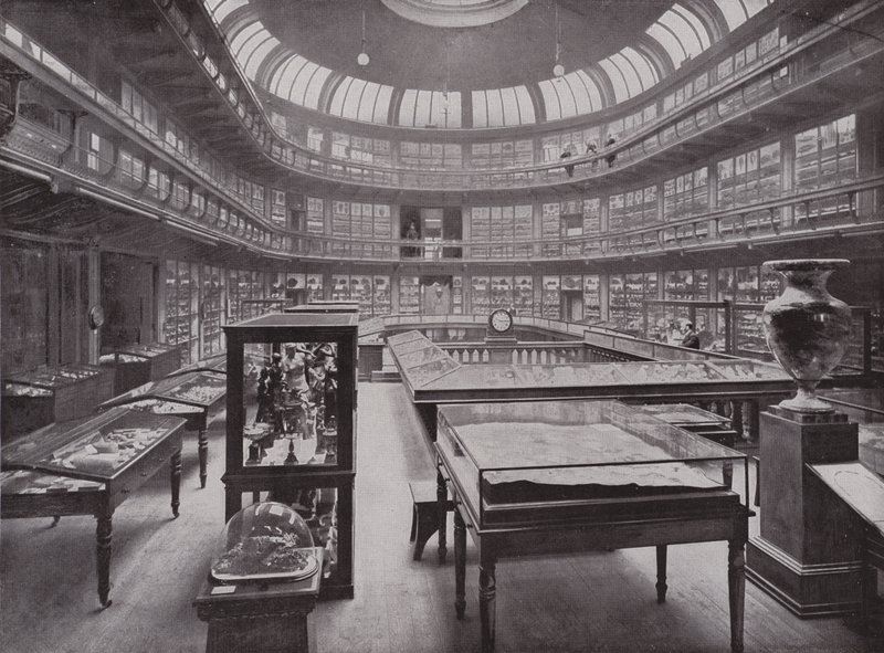 Det Geologiske Museum, Piccadilly af English Photographer