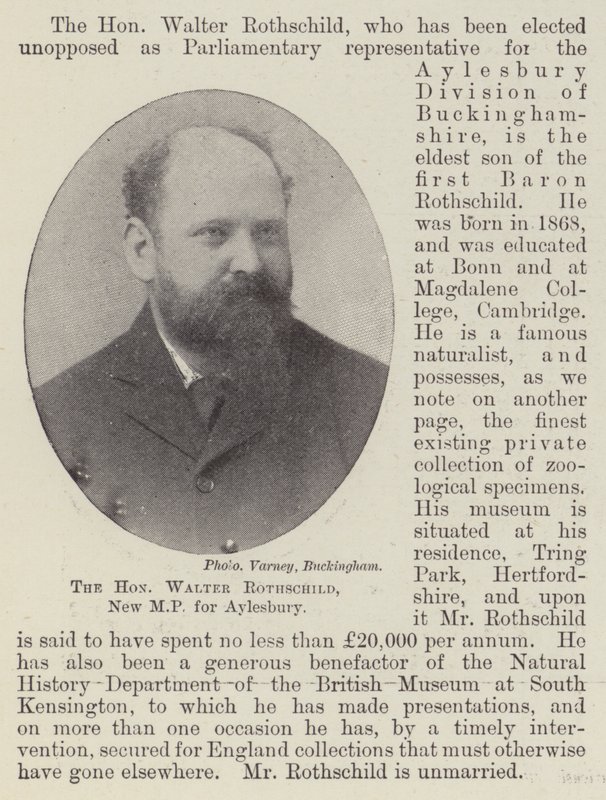 Den ærede Walter Rothschild, nyt parlamentsmedlem for Aylesbury af English Photographer