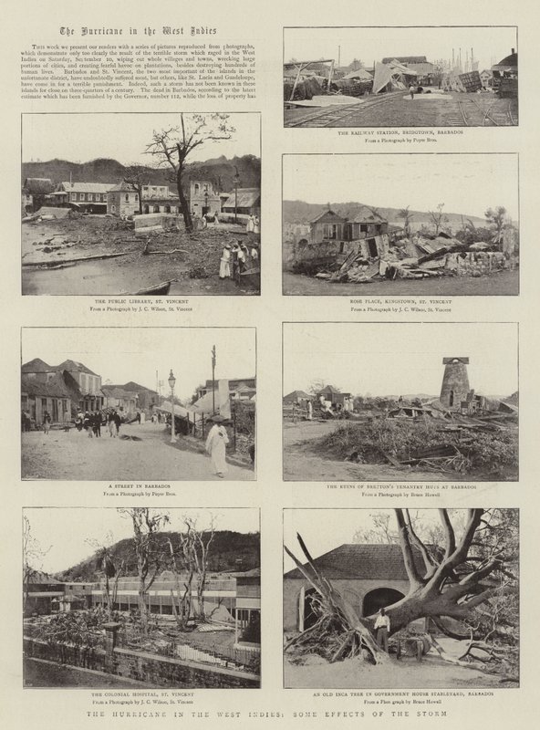 Orkanen i Vestindien, nogle virkninger af stormen af English Photographer