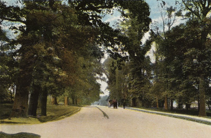 The Long Avenue, Coventry af English Photographer