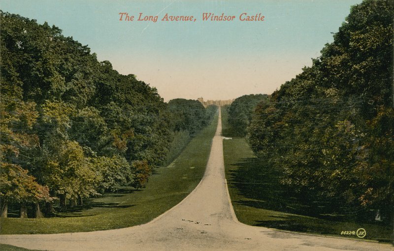 The Long Avenue, Windsor Castle i England. Postkort sendt i 1913. af English Photographer