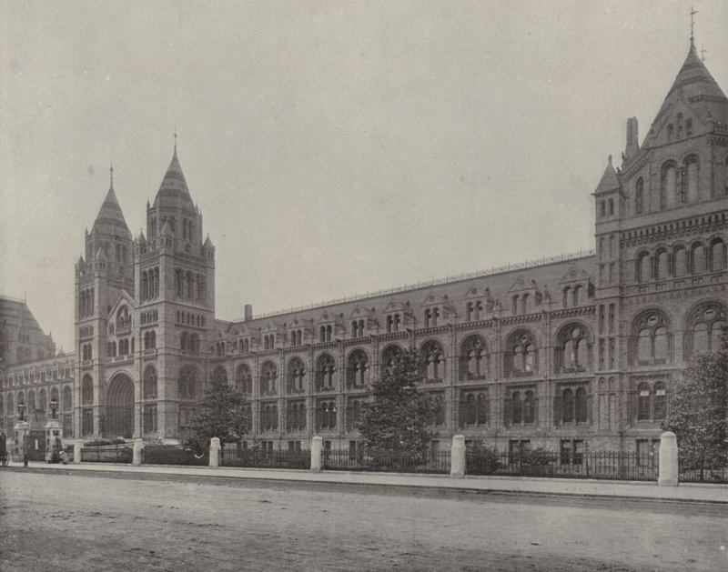 Det naturhistoriske museum (s/h-foto) af English Photographer