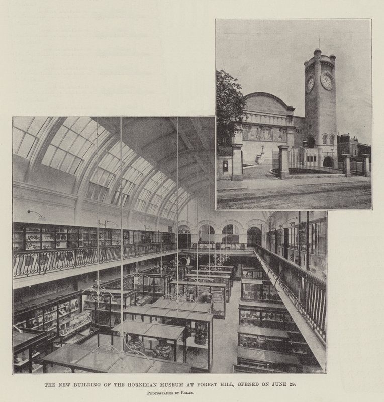 Horniman-museets nye bygning ved Forest Hill åbnede den 29. juni af English Photographer