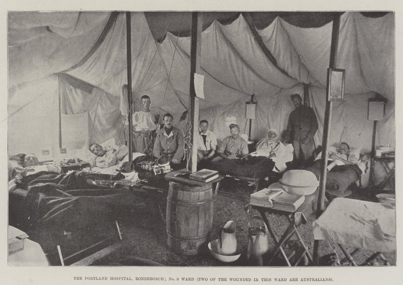 Portland Hospital, Rondebosch, afdeling nr. 9, to af de sårede i denne afdeling er australiere af English Photographer