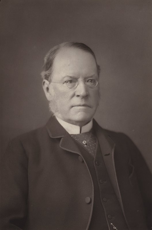 Den ærede Sir Lyon Playfair af English Photographer