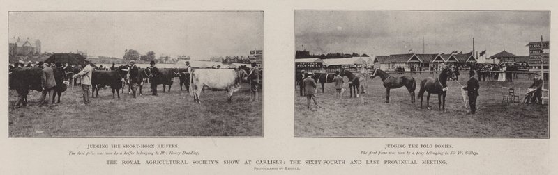 Royal Agricultural Society Show i Carlisle, det 64. og sidste provinsmøde af English Photographer