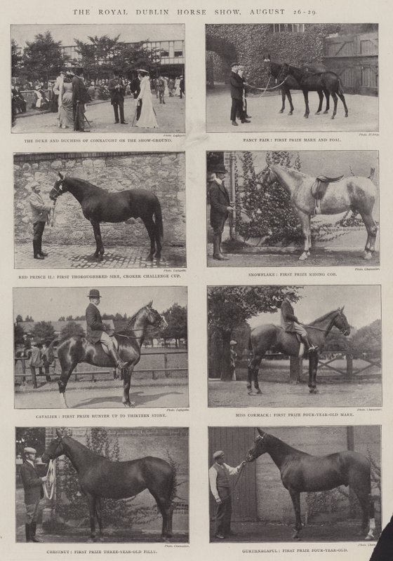 The Royal Dublin Horse Show, 26.-29. august af English Photographer