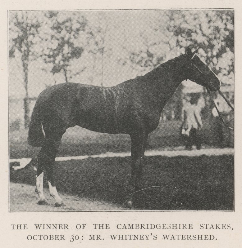 Vinderen af Cambridgeshire Stakes, 30. oktober, Mr. Whitneys Watershed af English Photographer
