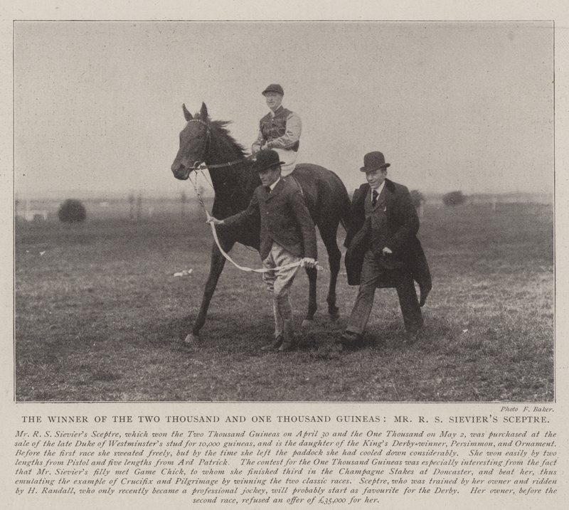 Vinderen af de to tusinde og et tusinde Guineas, hr. RS Sieviers Scepter af English Photographer